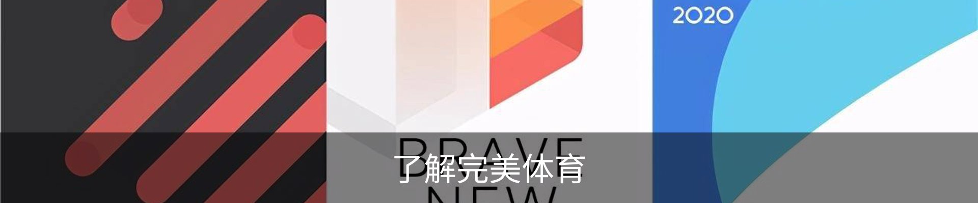 了解完美体育