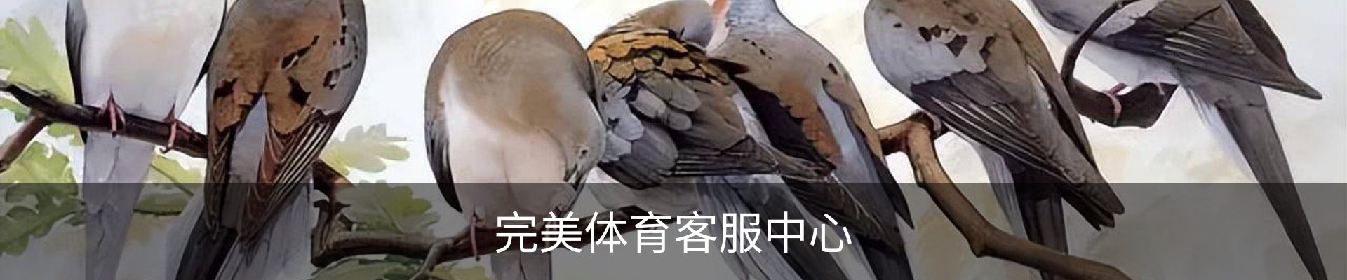 完美体育客服中心